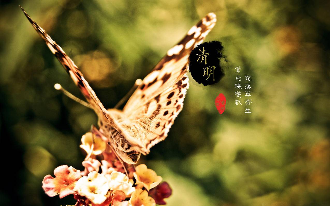 言语qq抖音粉丝网页代刷 - 王者荣耀点赞免费领取网站-刷快手业务在线