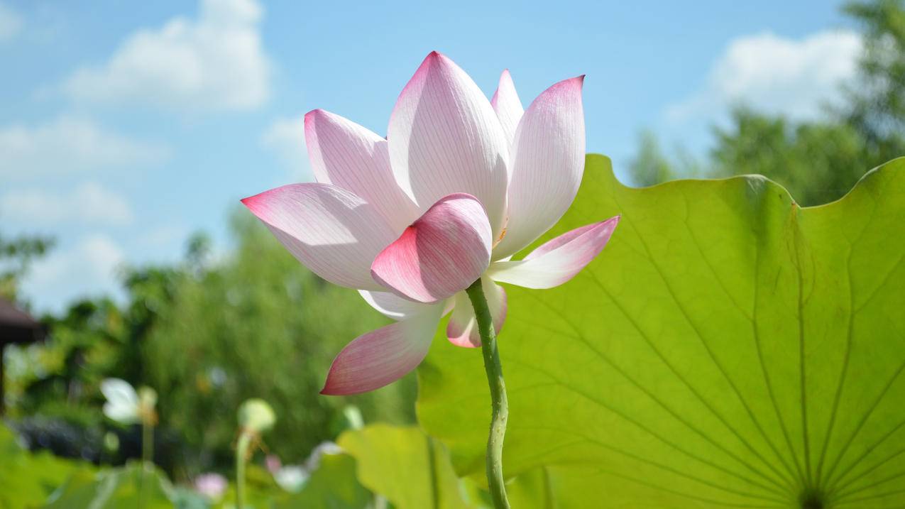 代练都怎么刷心动-代刷装修源码,刷到被骗企业代付,代刷网网站跳转代码