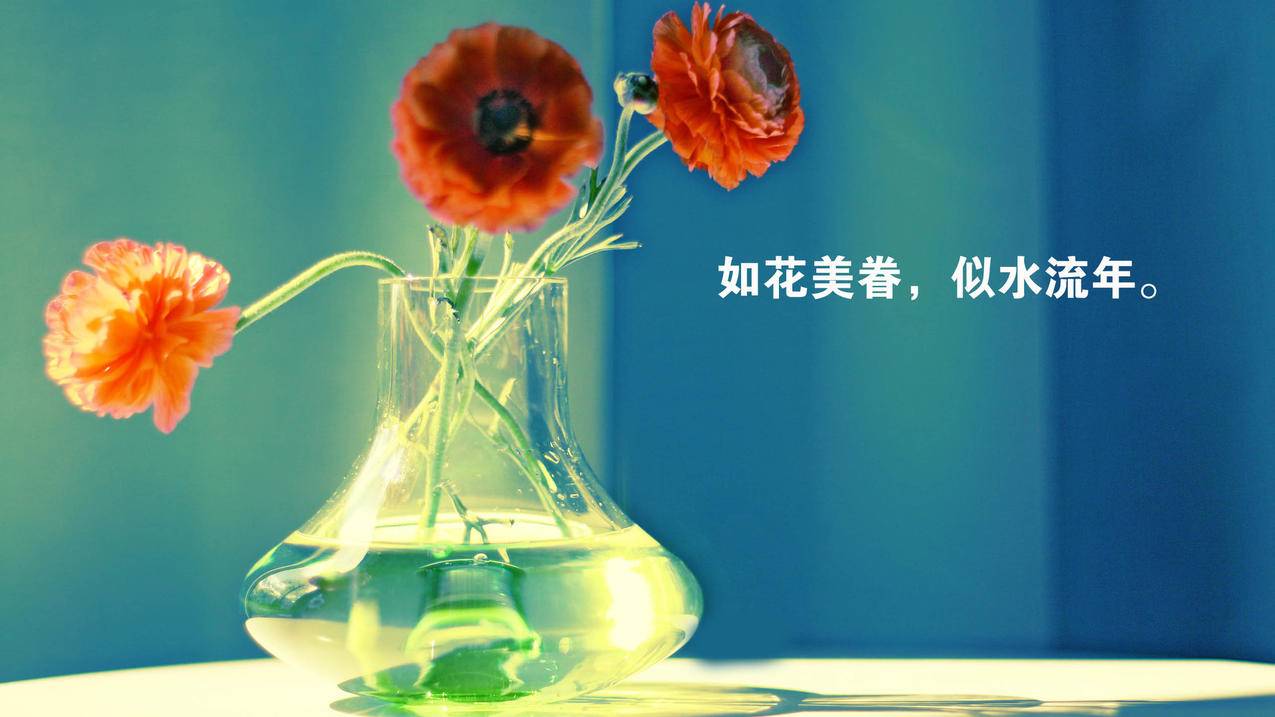 抖音低价代刷网站推广