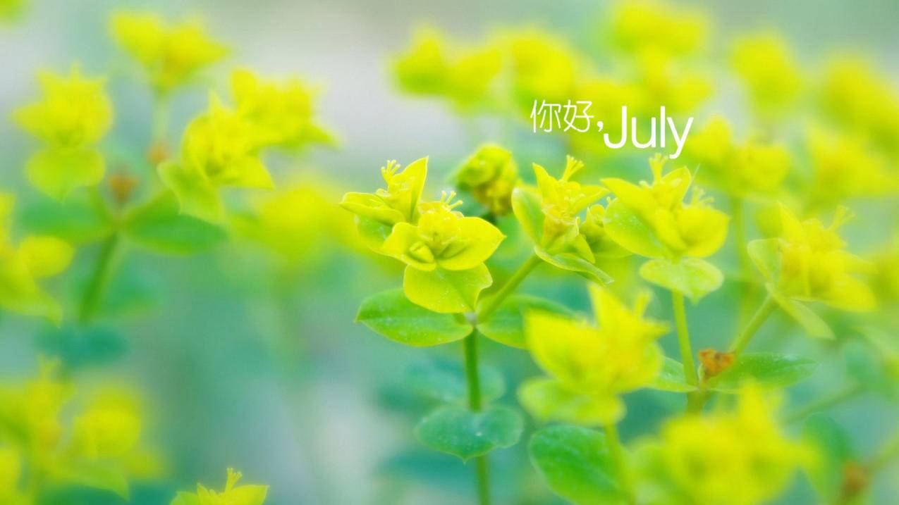 闪点代刷点 - 买赞1毛1000赞_空间刷人气互刷ban
