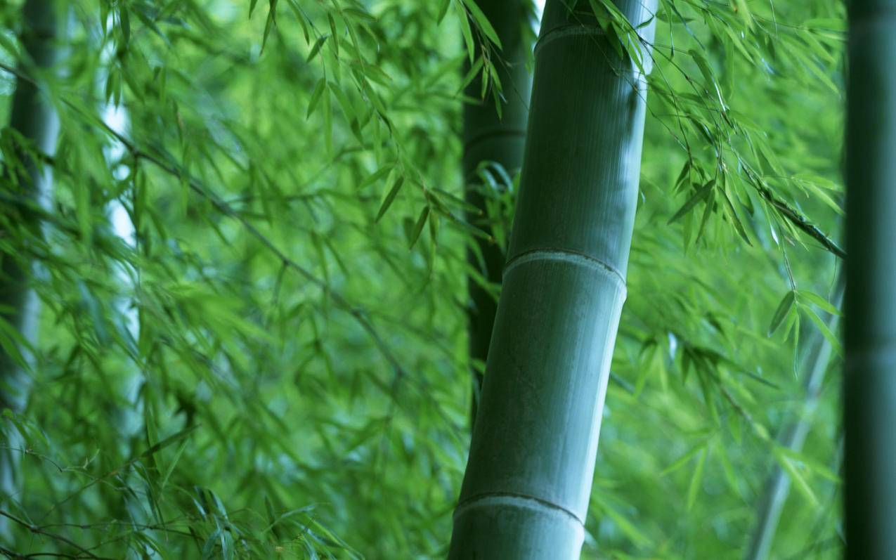 QQ代刷网自助下单平