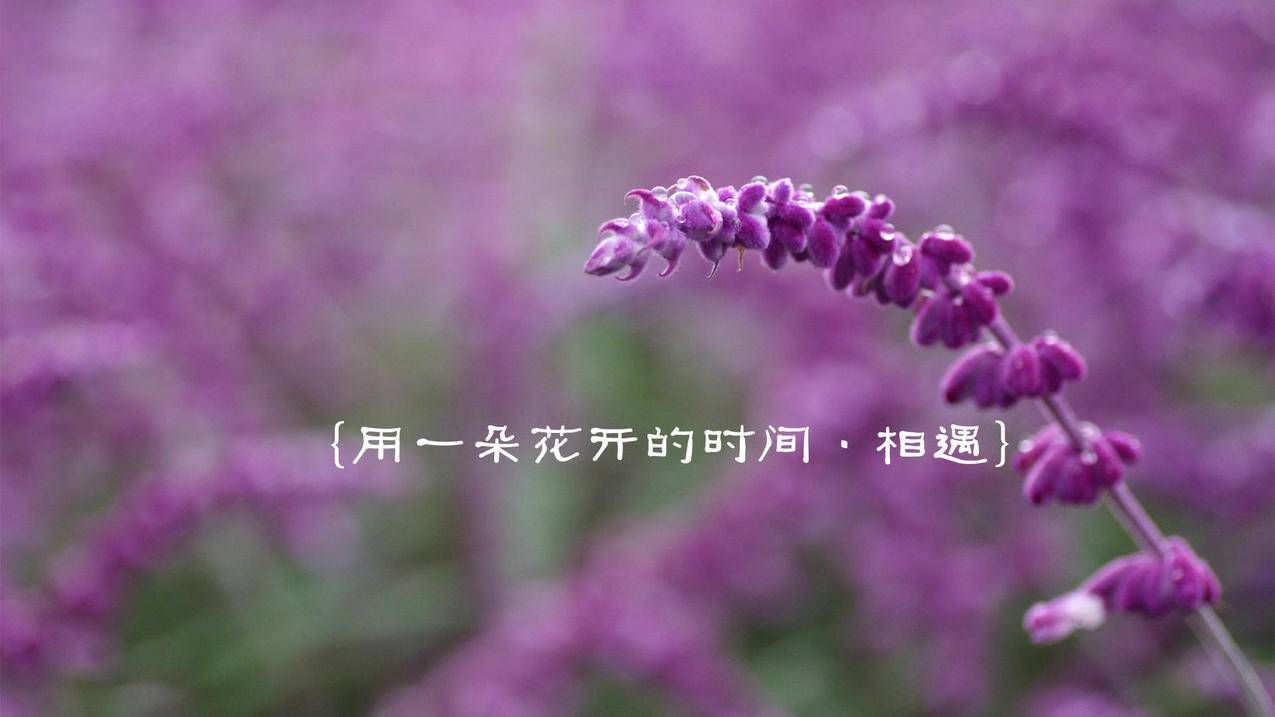 欣欣代刷网 - 呱呱代刷网