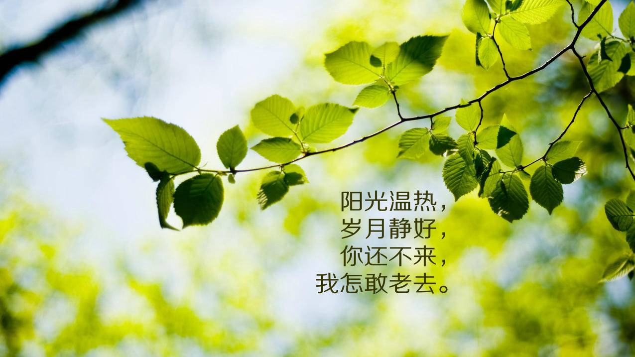 免费涨快手粉丝神器下载 - 快手代刷平台秒刷24小时-抖音粉丝代刷手机免费版
