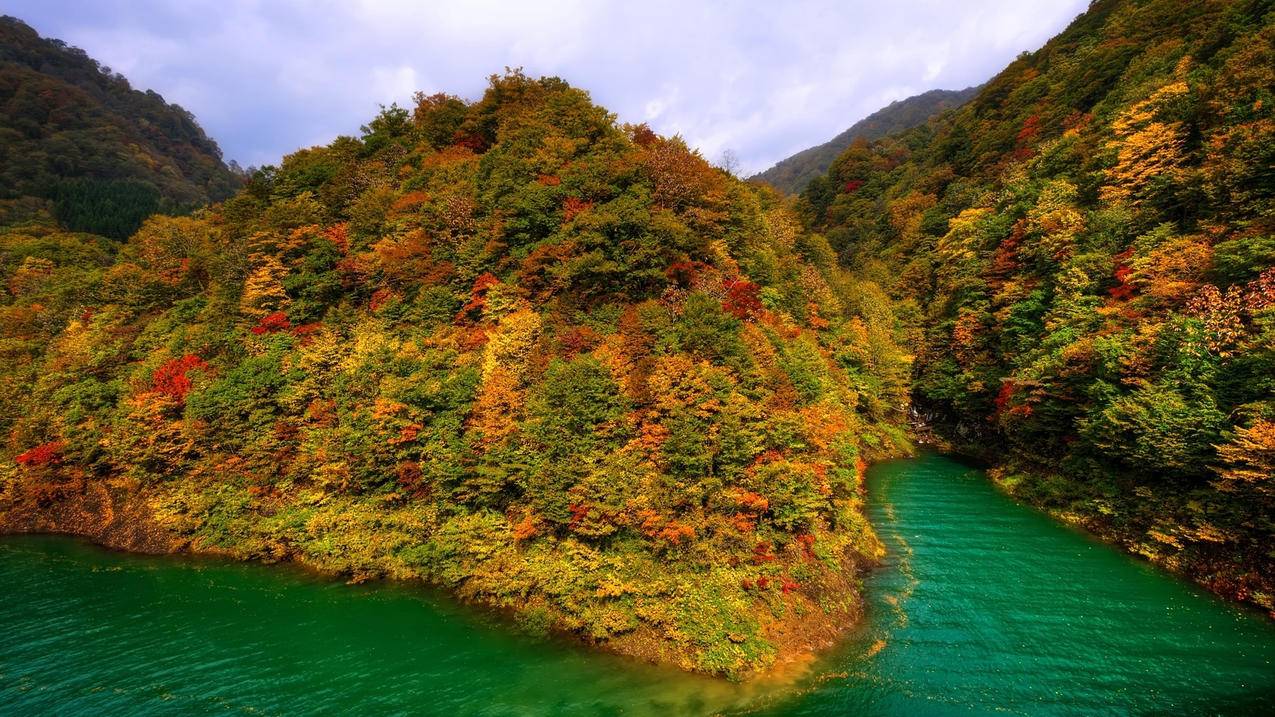 免费代刷神器 快手 