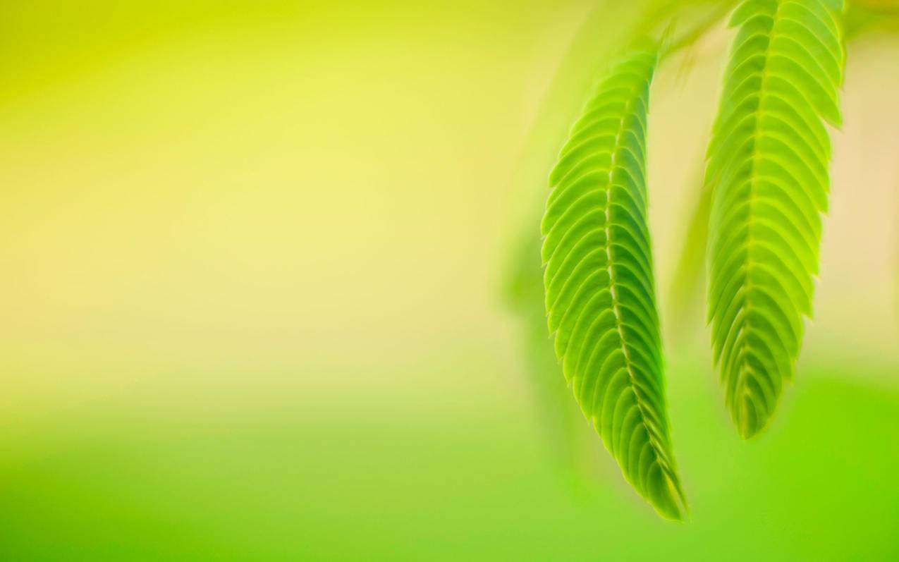 网红助手网站-新浪微