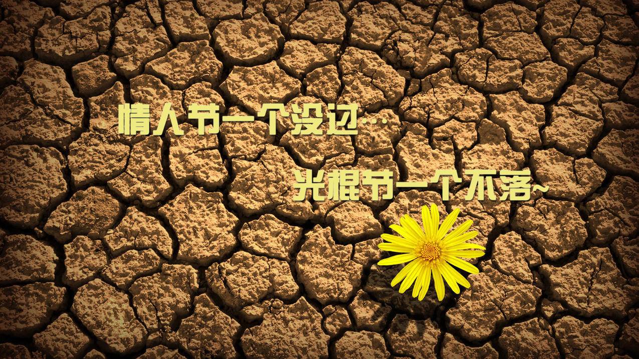 代刷最低价啊_24小时秒单业务平台便宜ks_qq空间免费代刷推广网站 - 免费赞