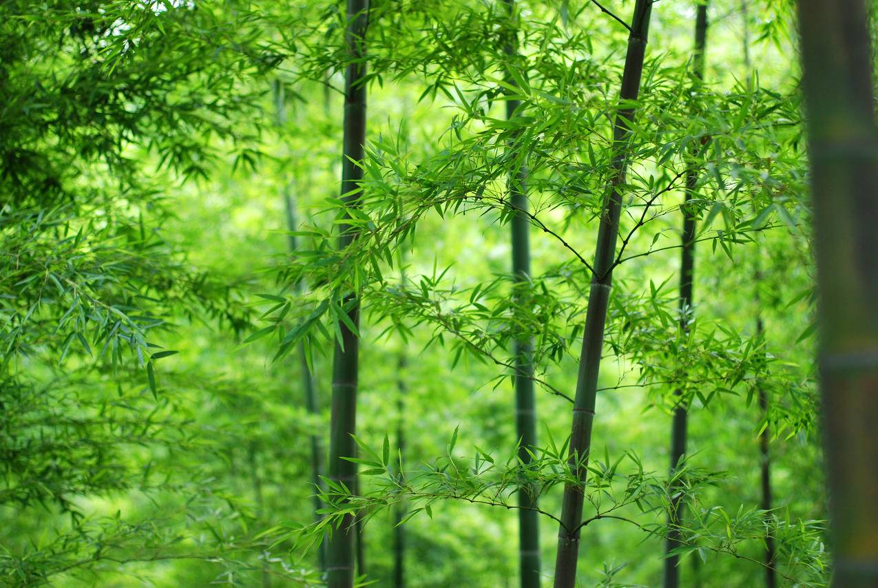 小刀快手刷人气2.01 - 免费领赞网站代刷网,快手秒刷业务平台10个双击_个性标签点赞网站