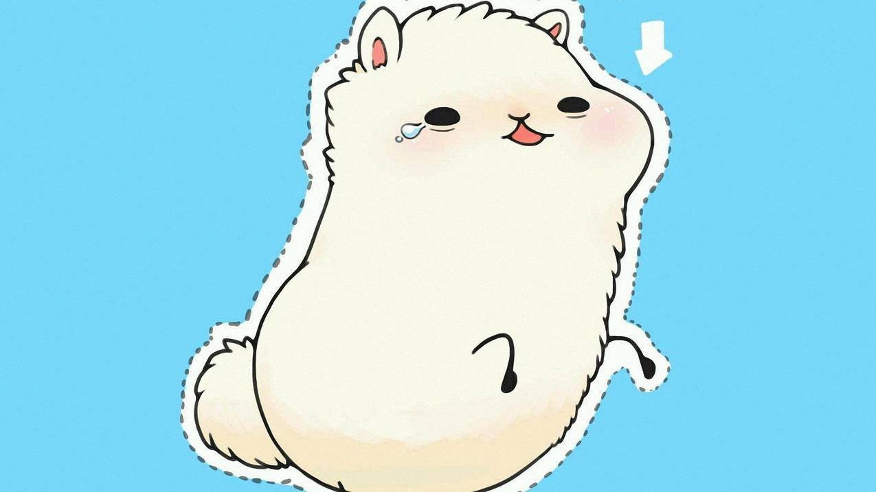 抖音美业务 - 快手
