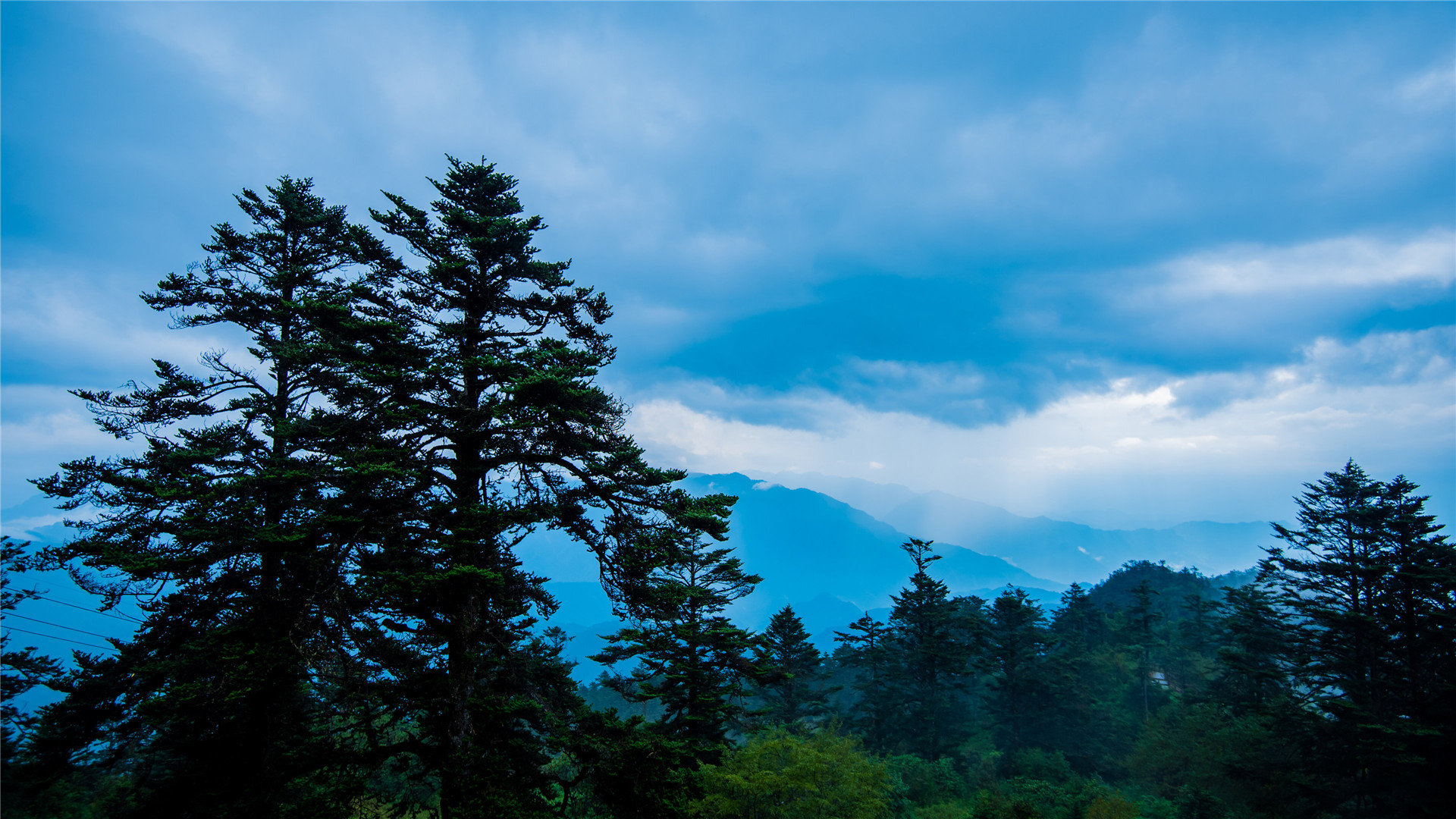 4代飞度雨刷器长度_