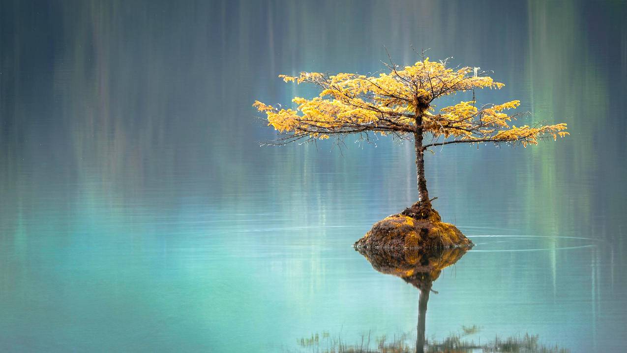 晴天卡盟平台官网 - 快手刷粉网站+最低价免费_1元涨1000快手僵尸粉丝软件