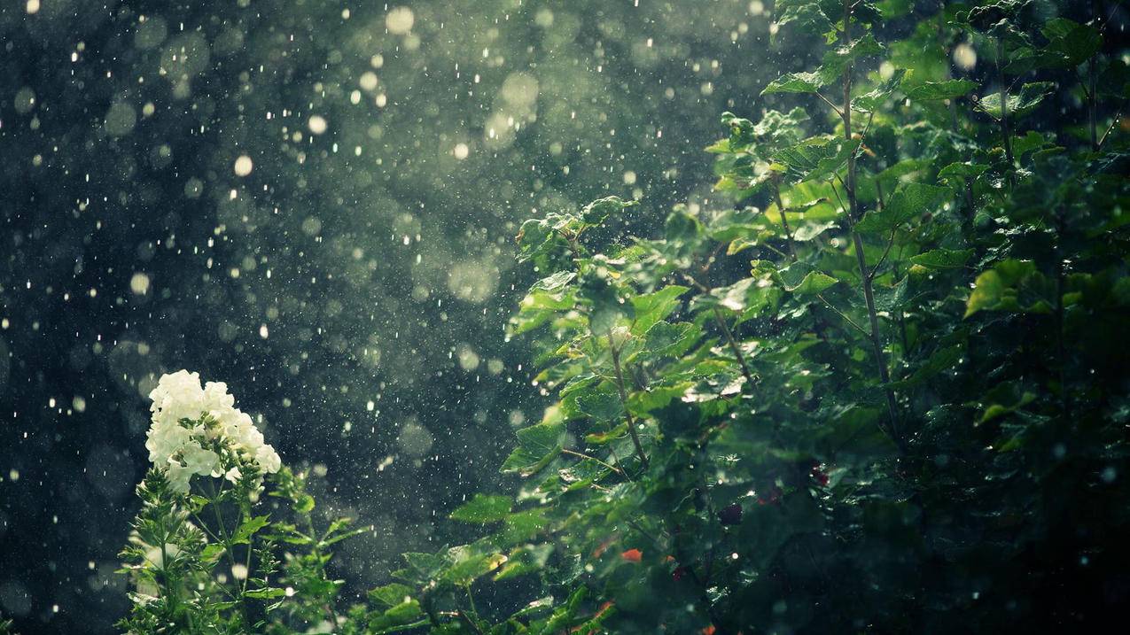 快手快刷作品双击-q