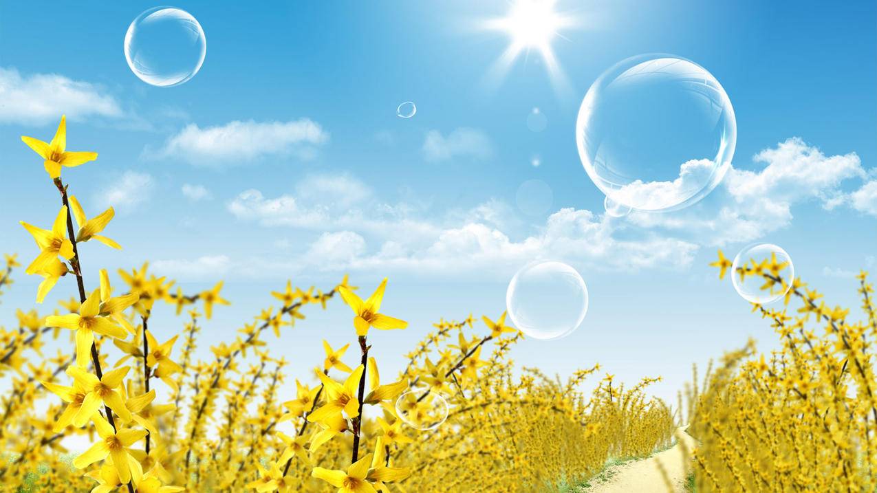 怎样购买快手点赞 - 滕族代刷-快手代刷在线刷-代刷平台推广网站便宜桔子