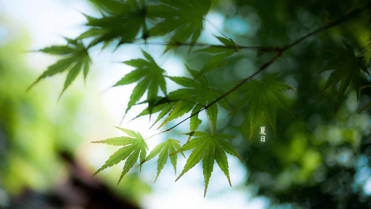 兴辰代刷-哥代网刷,