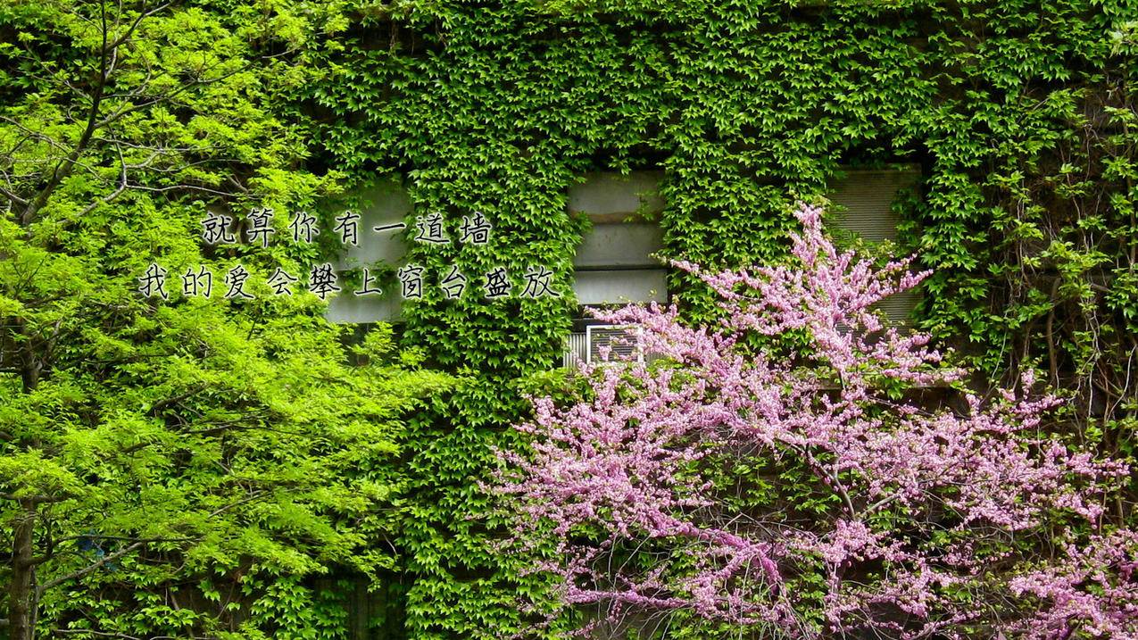 刷q空间人气-哔哩哔哩代刷关注,刷微博粉卡盟,嘉乐业务网站QQ