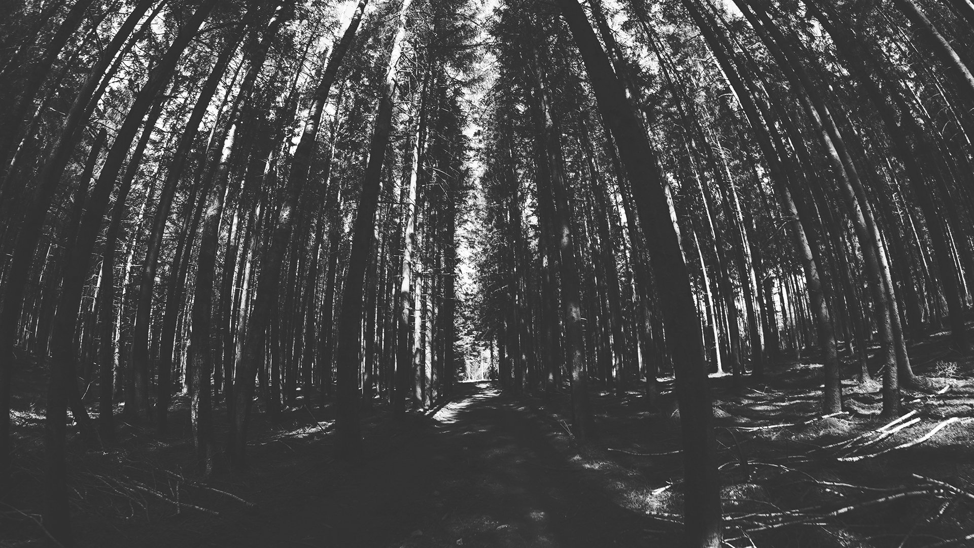 带刷网快手粉丝 - 快手作品代刷平台,抖音苹果免费代刷