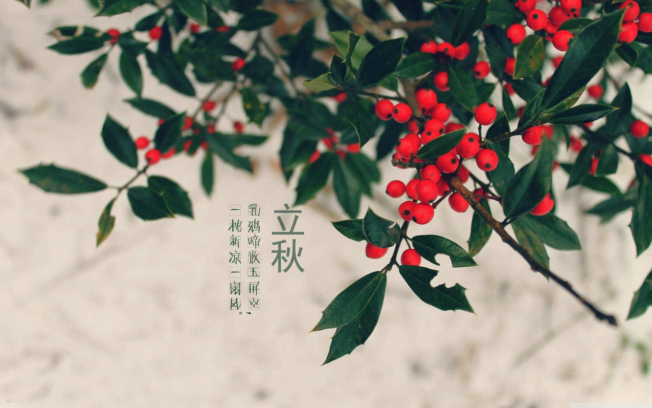 小熊代刷网址推广_免