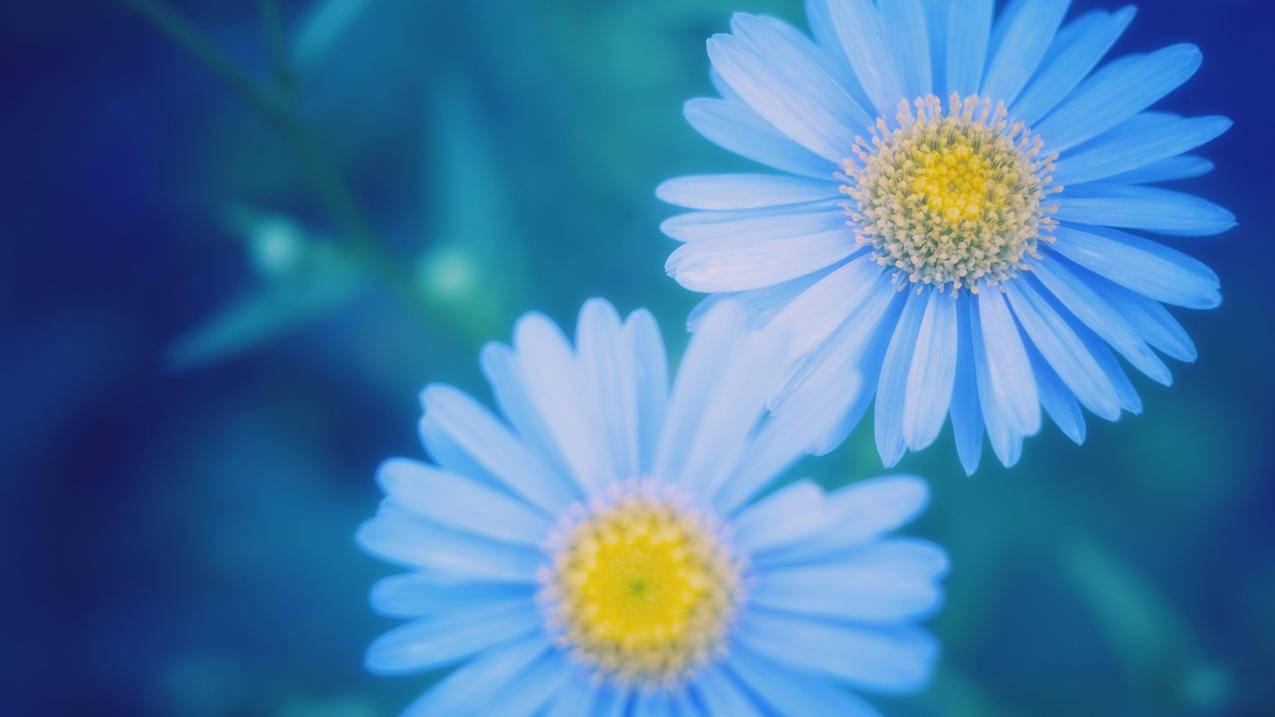 自动刷步数软件苹果 