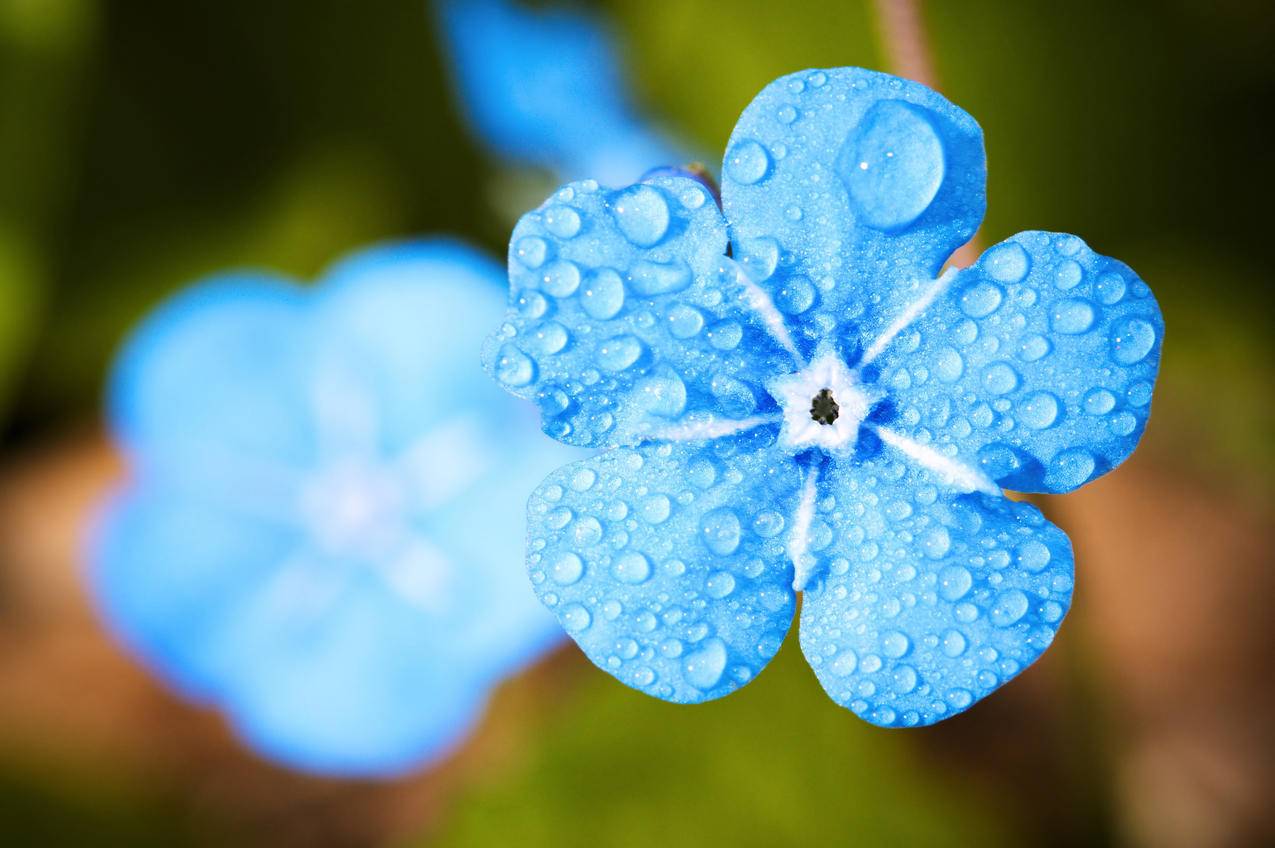 吉利四代帝豪怎么关雨
