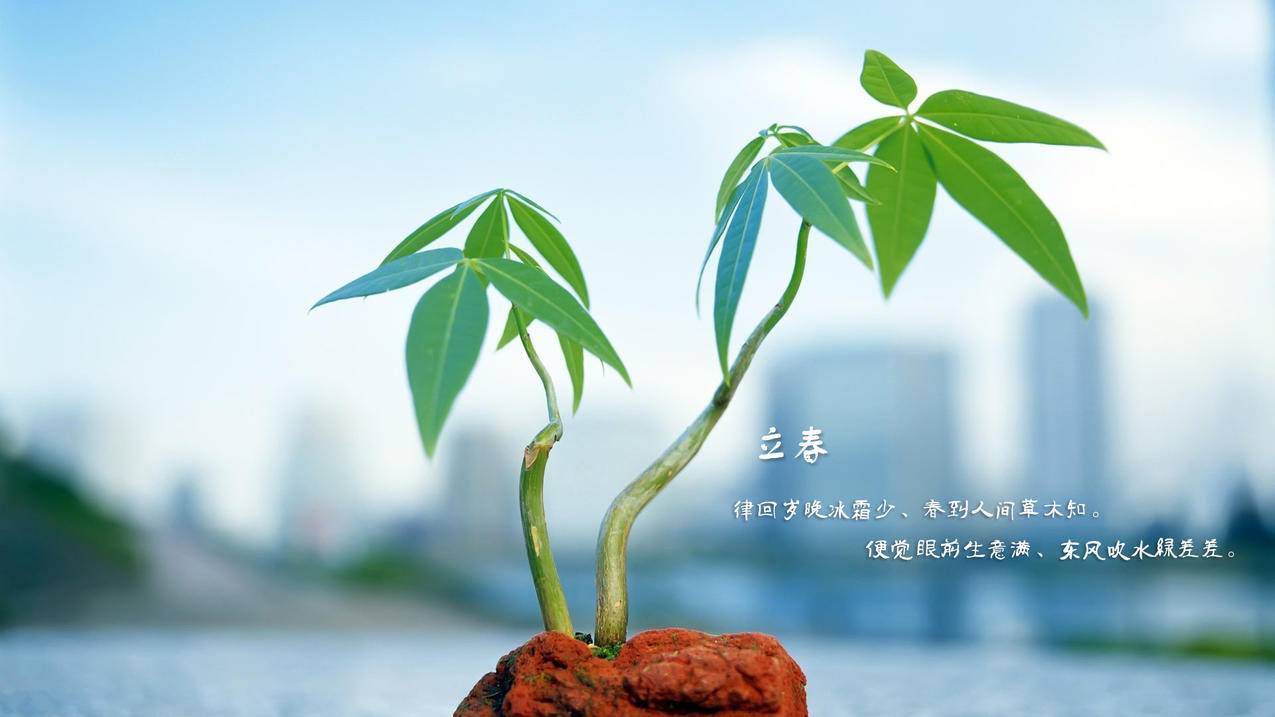 3代身份证刷不出来_代刷杂货铺_武汉直冲代刷 - 无二代刷网