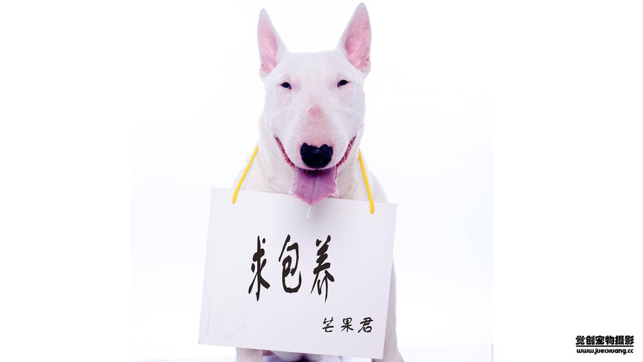 网易低价代刷 - 代