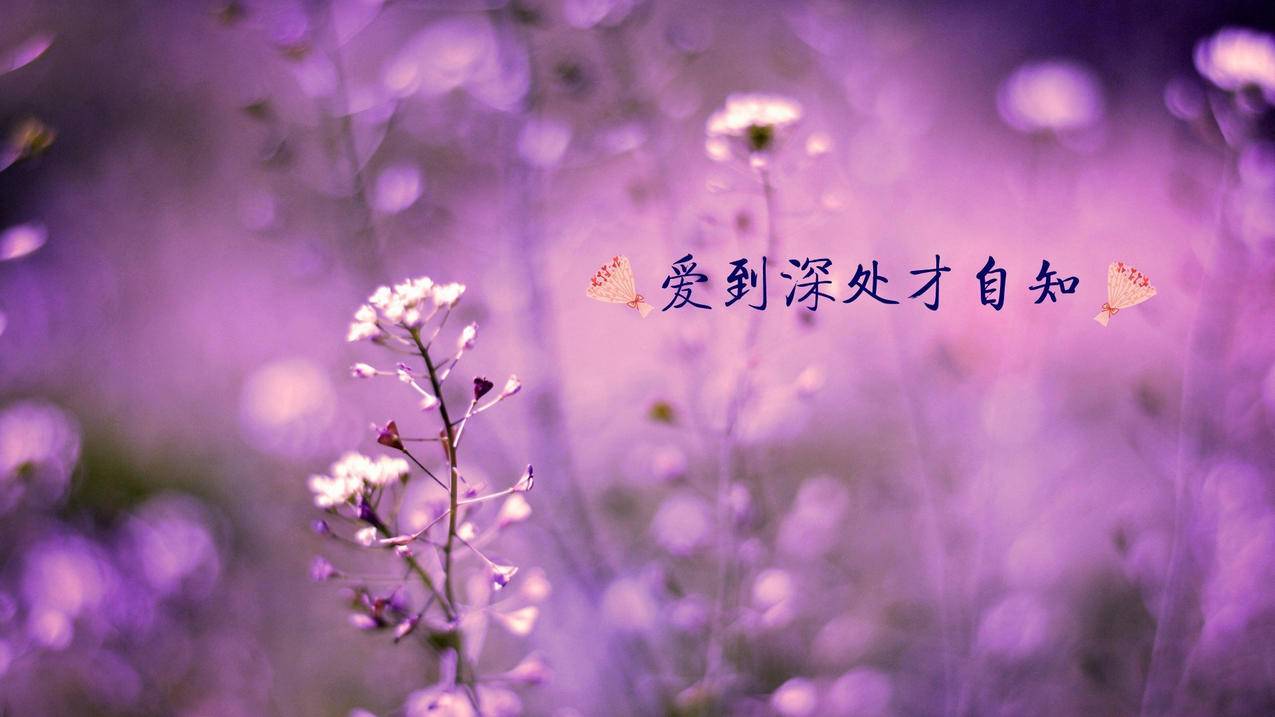 快手评论业务网站平台_qq空间业务平台自助下单平台_快手僵尸粉购买卡盟 - 空气秒刷人气