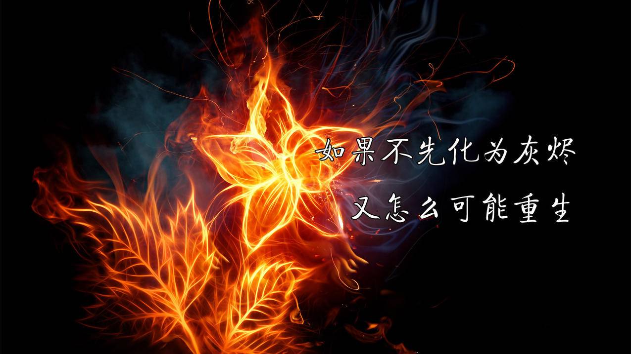 快手代刷网软件 - 