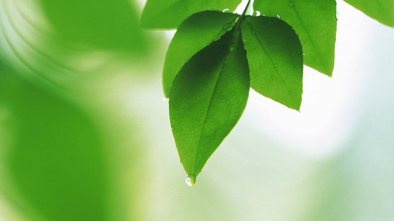 赞网站最低价 - q