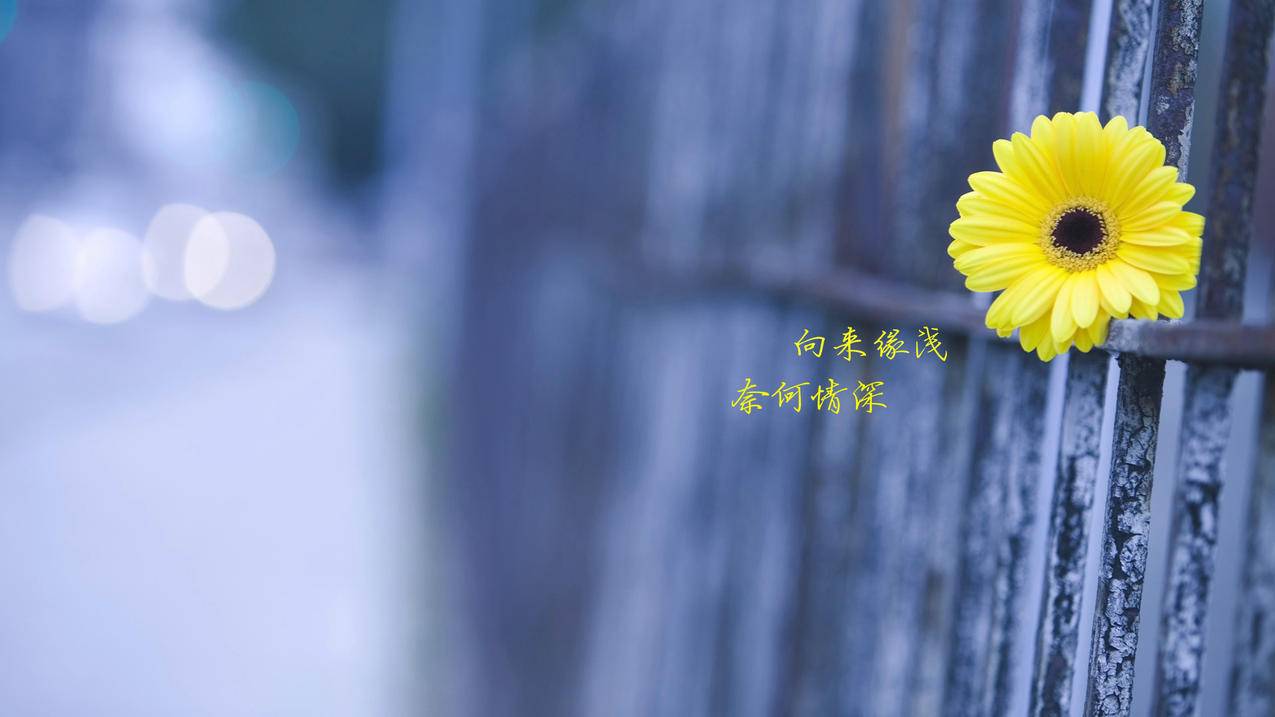延吉代刷医保卡 - 阡陌代刷网刷赞,卡爆代刷网,6代刷机错误-1