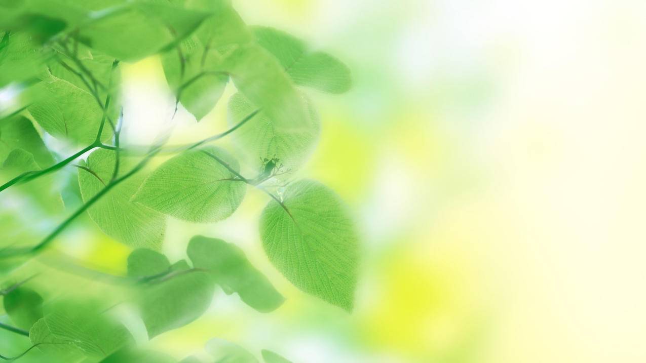 苹果平板4代ipad进去刷机模式 - 平果代刷网,在线制作代刷app