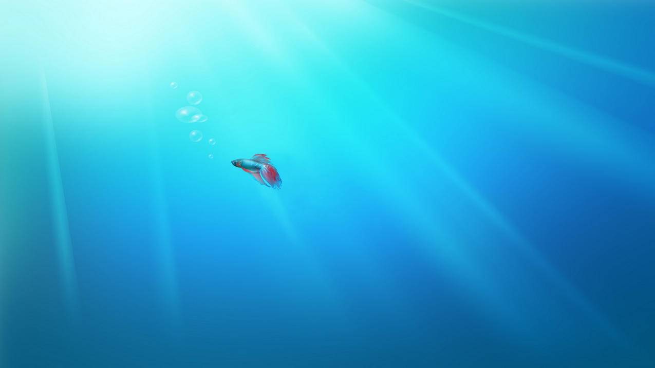快手热门号购买 - 