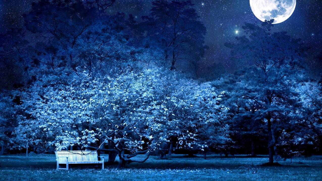 雅阁九代半拆卸雨刷图解 - 代刷网自助分站,富富代刷网_优云代刷授权查询