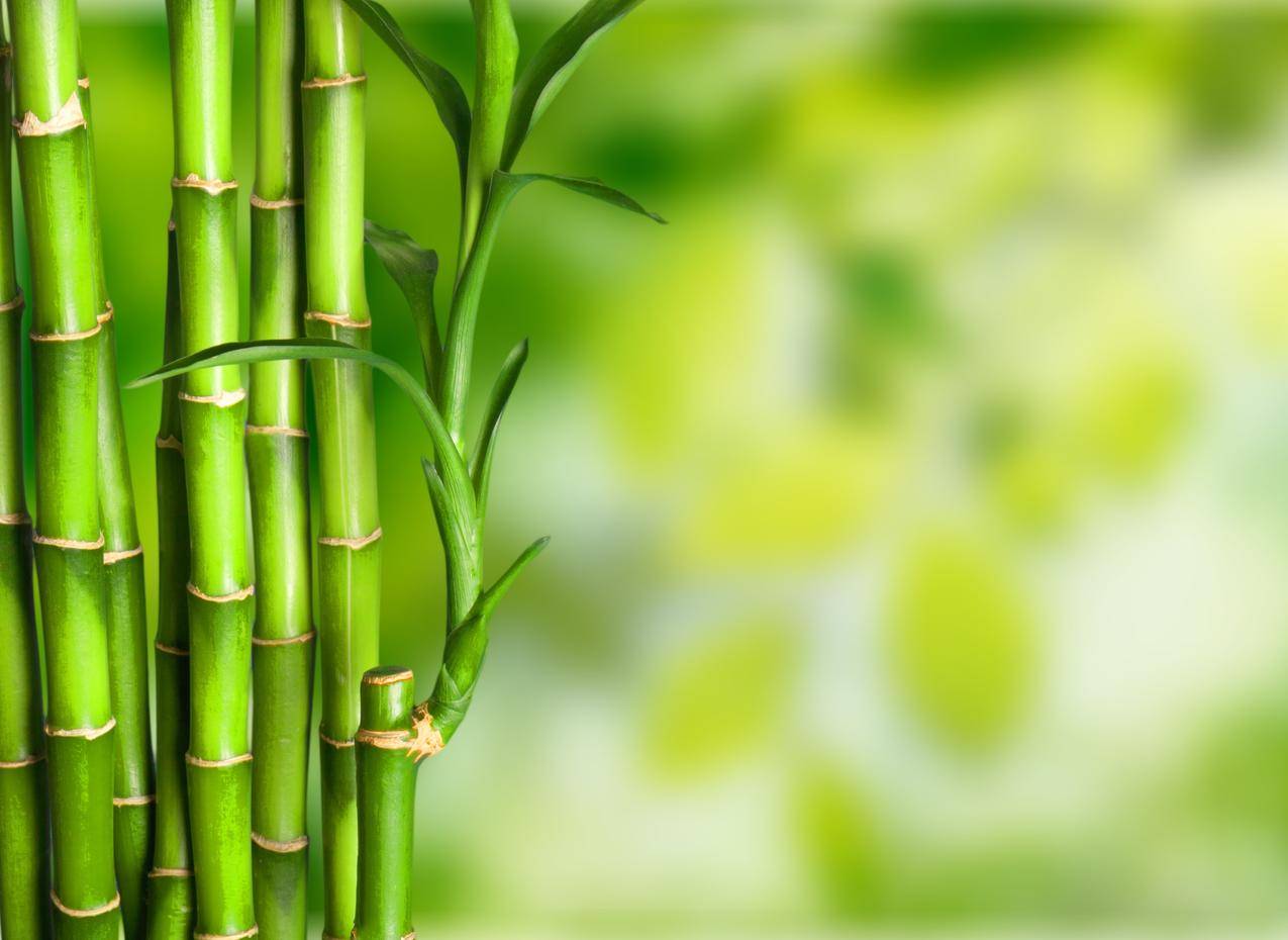 qq赞在线自助下单 - ks刷业务自助平台全网低价,刷快手,刷快手刷赞网站最便宜