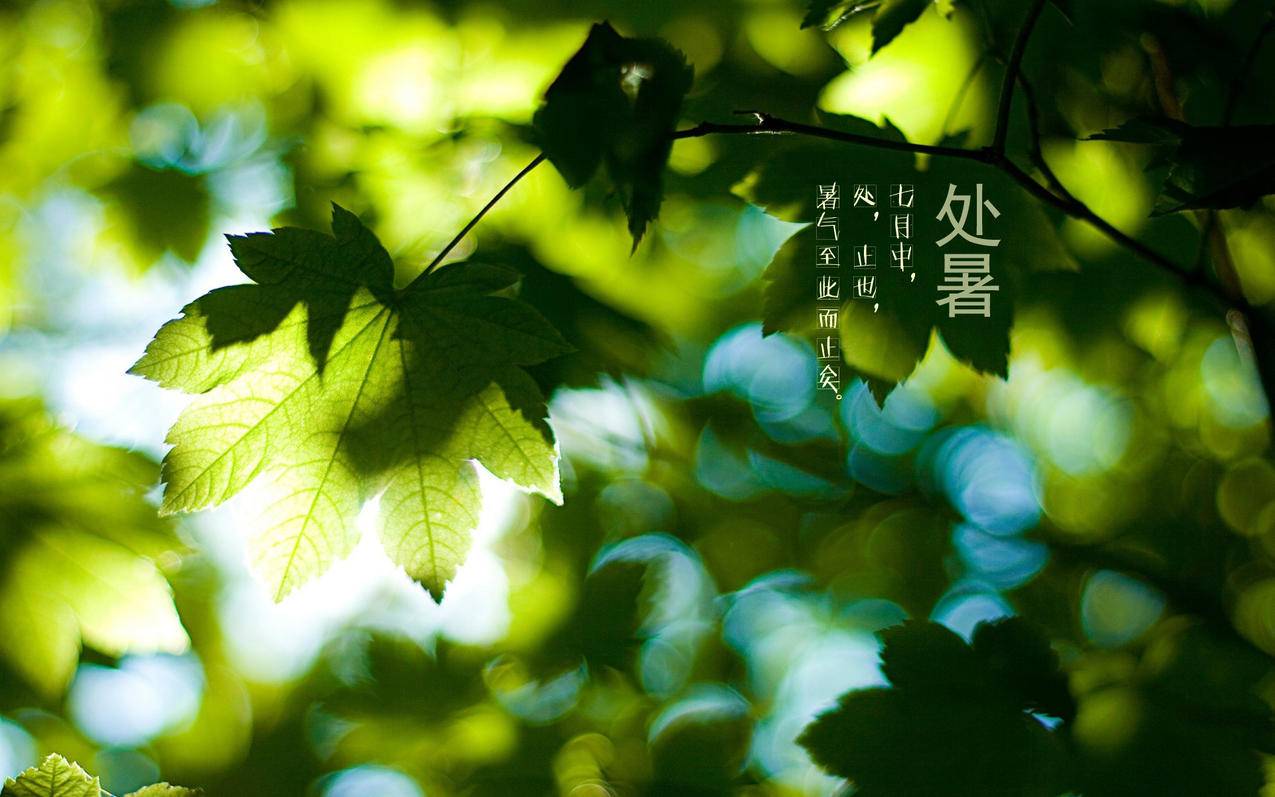 亚马逊hd7第四代刷机下载 - 八代凯美瑞转向调刷,猫头鹰代刷网,QQ群聊等级代刷器