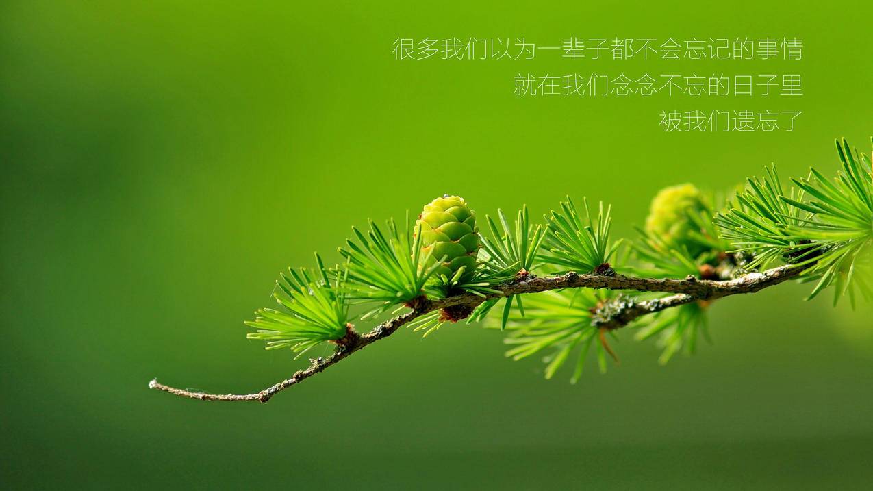 免费刷双击网站 - 粉丝互刷关注软件-欢乐斗卡盟平台官网-抖音点赞软件
