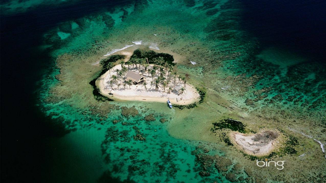访客和浏览量 - 快手低价下单平台-qq空间代刷低价网址
