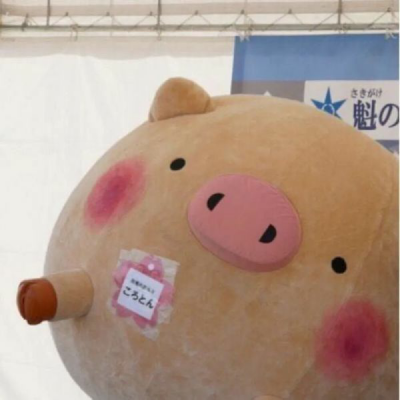 快手刷网站链接_qq钻类便宜刷_快手0元代刷代刷网 - 0元免费领取qq赞的网站