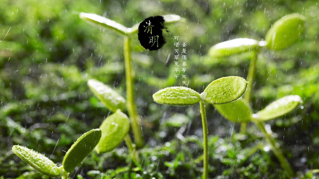 赤兔自助下单平台_快手刷赞业务平台自助下单24小时在线_qq刷赞平台低价 - 刷qq免费赞